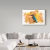 Trademark Fine Art Ata Alishahi 'Hummingbird Orange' Canvas Art, 30x47 ALI22431-C3047GG